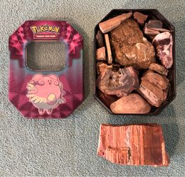 Collectible Rocks & Pieces of Petrified Wood in a Pokemon Card Tin