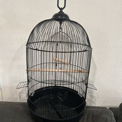 Bird Cage