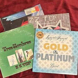 Small Vinyl Rock n Roll Collection