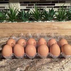 Eggs Fresh 