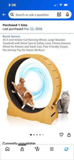 Cat Running Wheel
