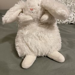 White Small Bunny