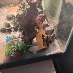 Gekco With Tank And Everything In Picture 