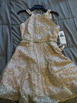 Big Girls Gold & Pink Special Occasion Dress
