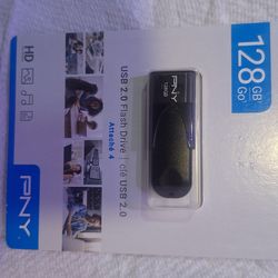 PNY 128GB USB 2.0 Flash Drive