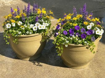 ✨Set of Army Green/Olive Color Flower Pots✨