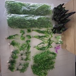 Misc Fish Tank Accessories