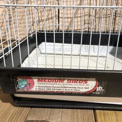 A Bird 🦅 Cage 