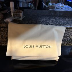 LOUIS  VUITTON WOMANS BAG