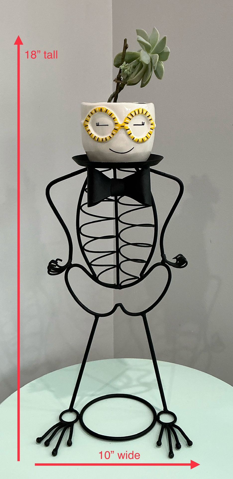 Live Blue Echeveria Succulent in a White w Smiley Face Planter on a Black Tuxedo Metal Plant Stand