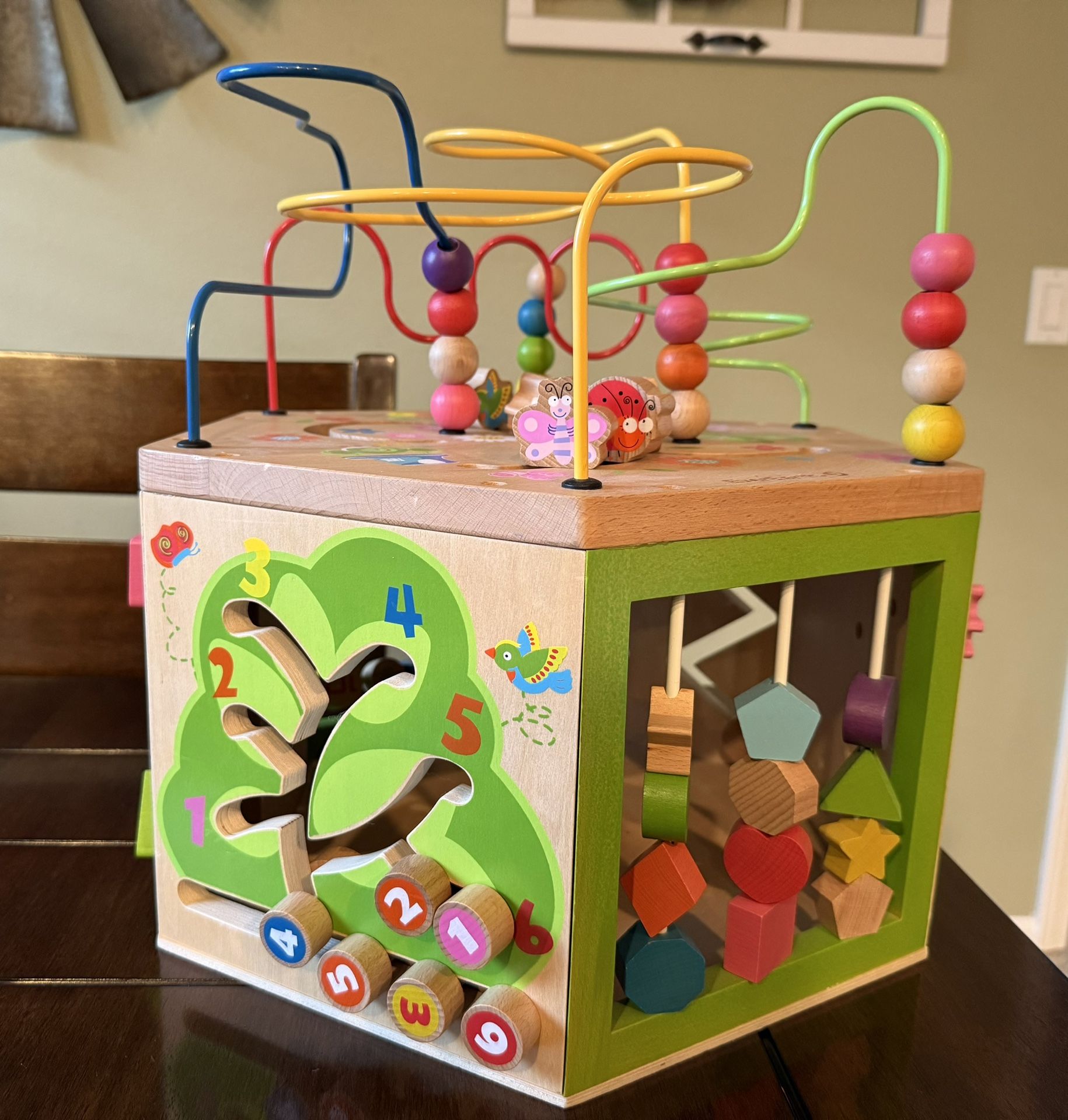 Everearth Activity Cube 