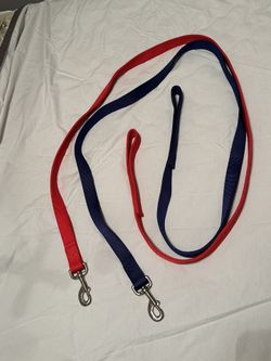 Red and Blue Dog Leash
