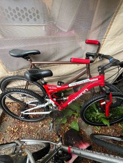 Schwinn mountain bike