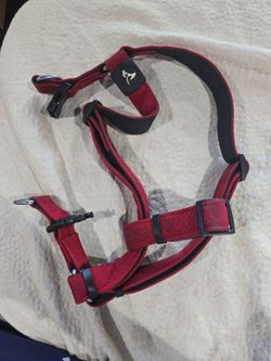 Dog Harness
