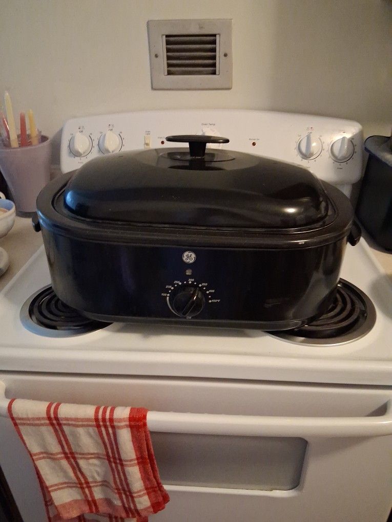 One Large Roaster