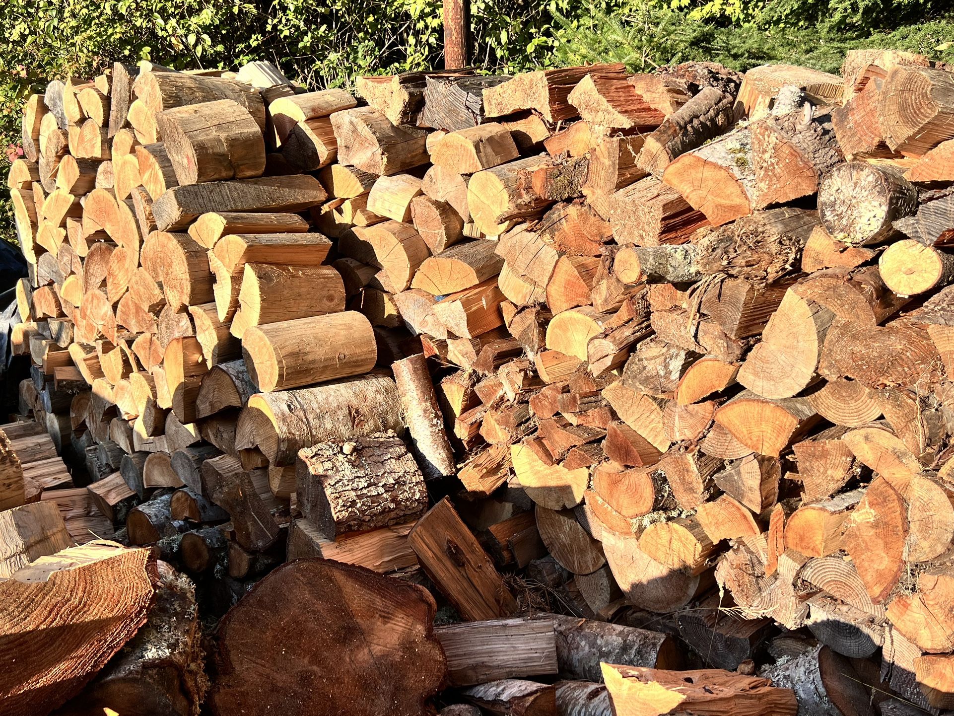 Dry Firewood
