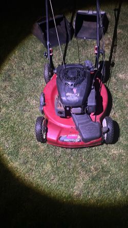 Toro