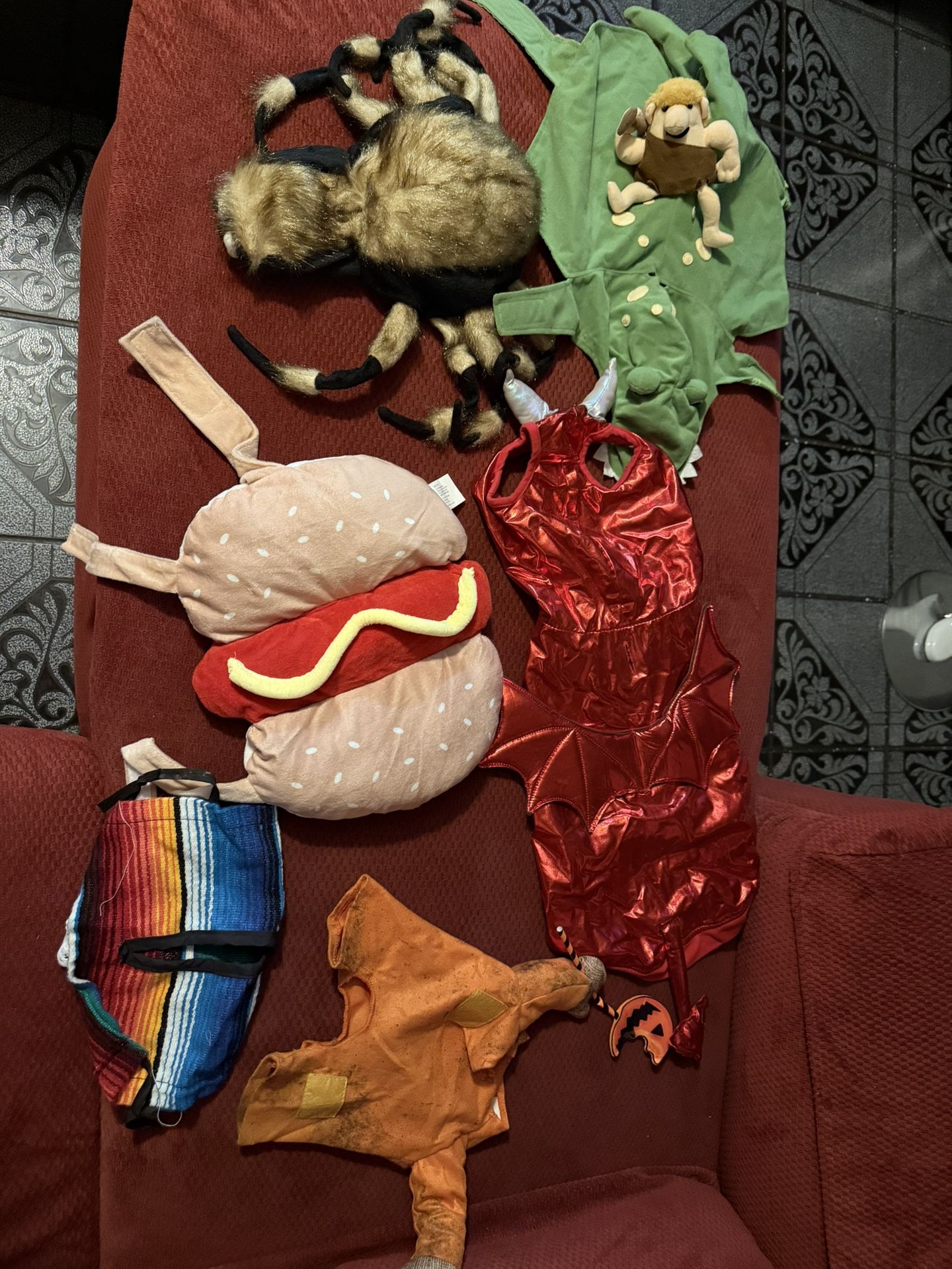 Dog Costume