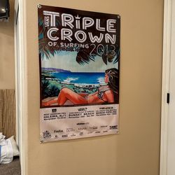 Vans Poster