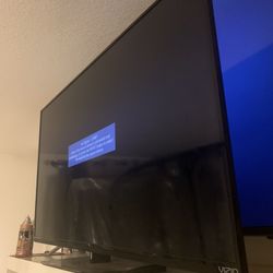 Vizio 40 In Tv & Remote 