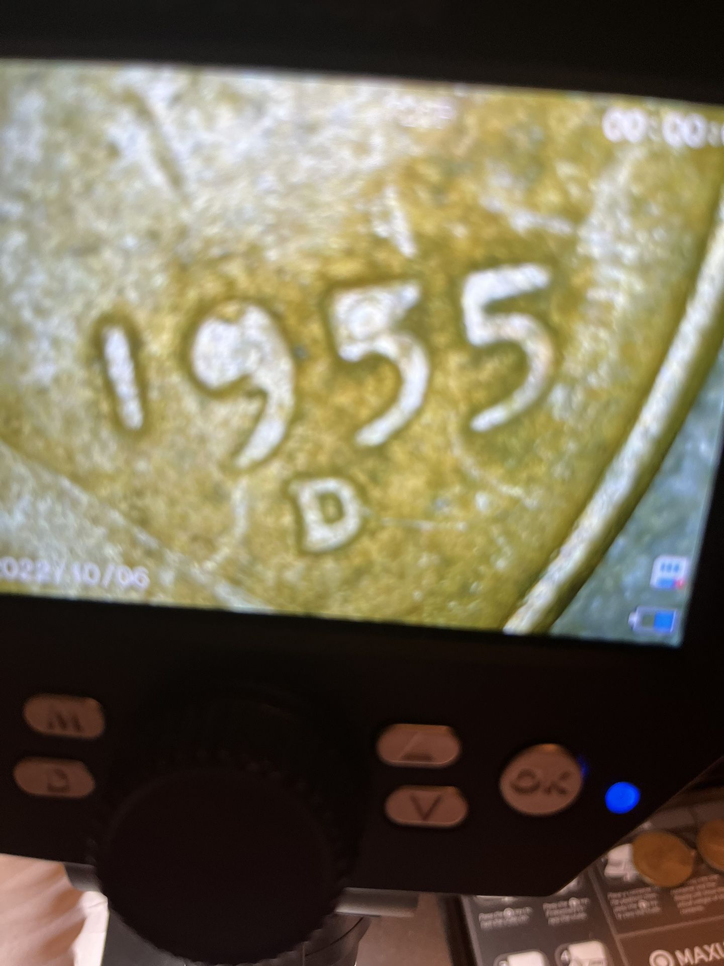 1955D Wheat Penny