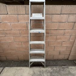 Metal ladder 