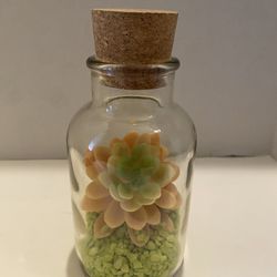 Faux succulent in glass jar with cork. Bo Ho / Southwest/ cottage.7x3 inch.