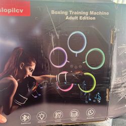 Boxing Training Machine