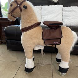 Pony rider 