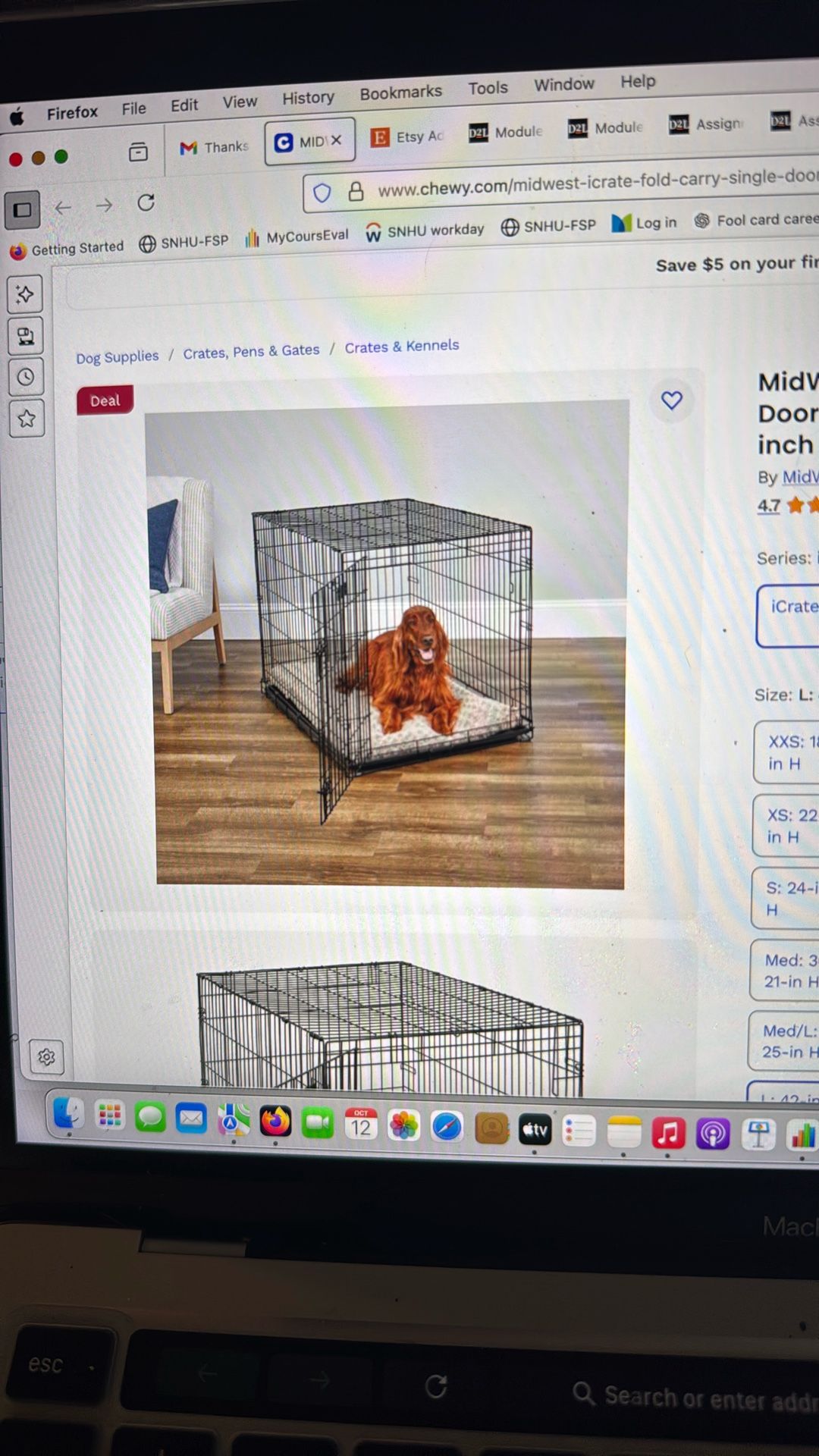 Dog Crate 42 Inches Lightly Used For 6 Months 