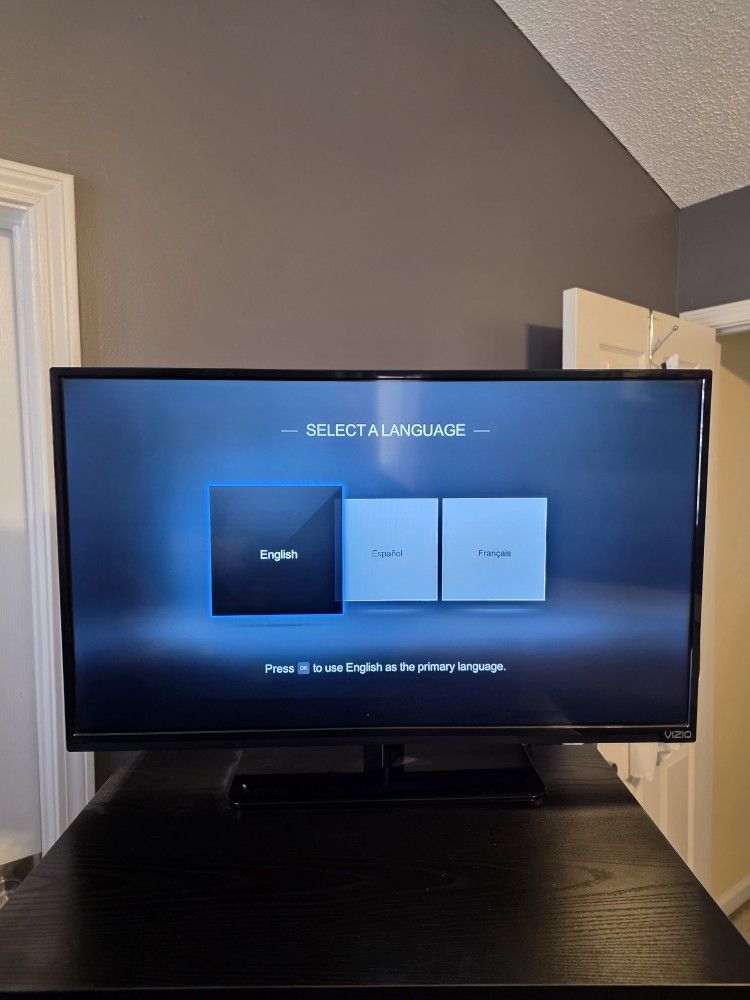 Vizio 32 Inch TV