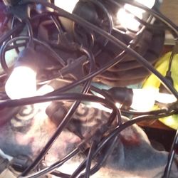 Lights For Sale For Patio