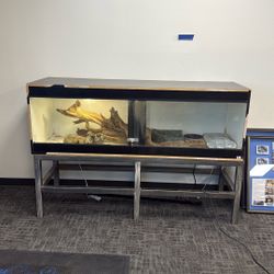 Large Reptile Tank W/ Accessories 