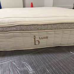 Helix - Birch Luxe Natural King Mattress Cover: Standard Organic Cotton 