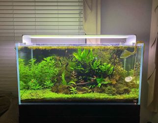 ADA rimless 90-p tank