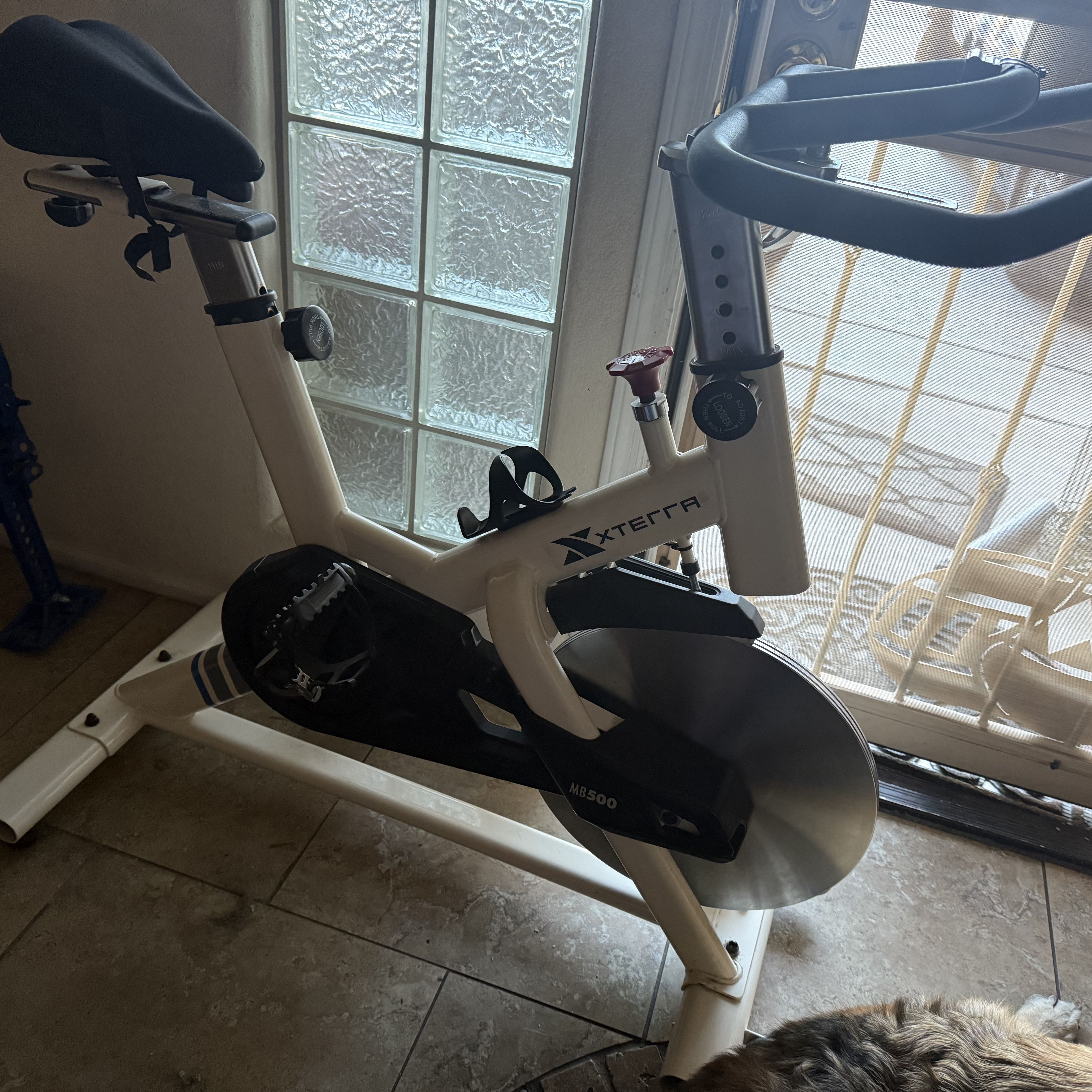 White Xterra Fit Indoor Exercise Bike