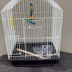 Bird Cage