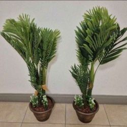 *** NEW LOW PRICE *** PAIR of 50" Faux Golden Cane Palms w Red Stone / Greenery / 12" Planters @ Lasting Creations