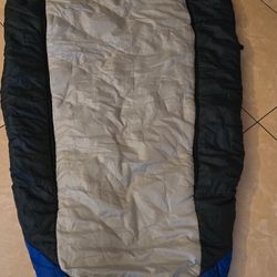 Sleeping Bag With Pillow And Carrier Case