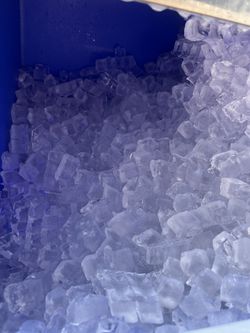 20lbs Of Ice Bags