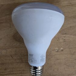 Light Bulbs (40 Of Them)