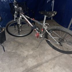 Women’s Bike