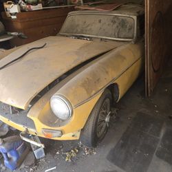 Mg3