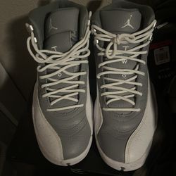 Jordan 12 Size 11