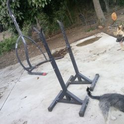 Weights Lifting Stand Rails
