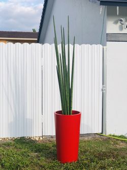 Indoor / outdoor decor