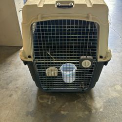 Dog Kennel 