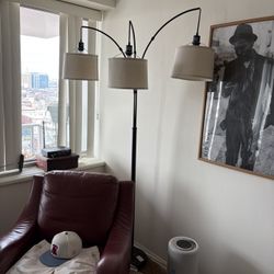 Floor Lamp / Living Room Lamp