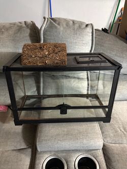 10 gallon tank with log