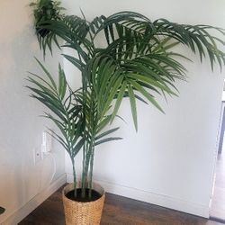 Decoracion Plastic Plant 🪴 